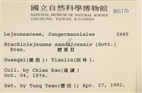 鰓葉苔藏品圖，第2張