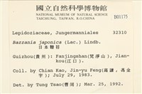 日本鞭苔藏品圖，第2張