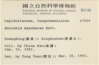 登錄號:B00001180藏品圖，第2張