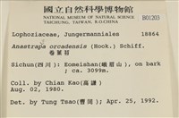 卷葉苔藏品圖，第2張