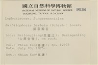 細裂瓣苔藏品圖，第2張