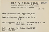 溪邊青蘚藏品圖，第2張