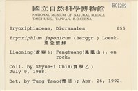 東亞蝦蘚藏品圖，第2張