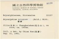 蝦蘚藏品圖，第2張