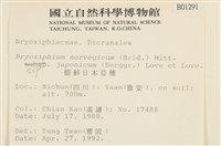 登錄號:B00001291藏品圖，第2張