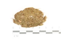 登錄號:B00001294藏品圖，第1張