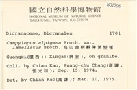 高山曲柄蘚薄葉變種藏品圖，第2張