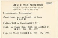 黃曲柄蘚藏品圖，第2張