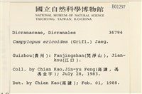 登錄號:B00001297藏品圖，第2張