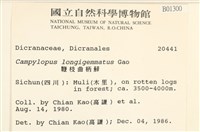 鞭枝曲柄蘚藏品圖，第2張