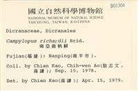 節莖曲柄蘚藏品圖，第2張