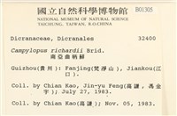 節莖曲柄蘚藏品圖，第2張