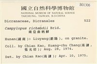 節莖曲柄蘚藏品圖，第2張