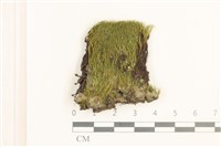 登錄號:B00001307藏品圖，第1張