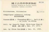 登錄號:B00001308藏品圖，第2張