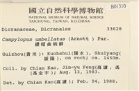 登錄號:B00001310藏品圖，第2張