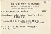 登錄號:B00001311藏品圖，第2張