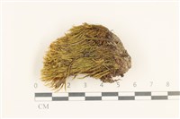 登錄號:B00001312藏品圖，第1張