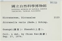 登錄號:B00001320藏品圖，第2張