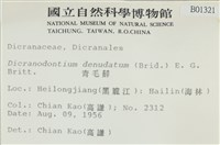 青毛苔藏品圖，第2張