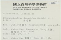 青毛苔藏品圖，第2張