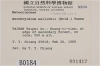 登錄號:B00001417藏品圖，第2張
