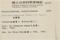 仙鶴蘚藏品圖，第2張