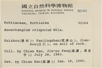 卷葉叢本蘚藏品圖，第2張