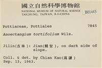 登錄號:B00001443藏品圖，第2張