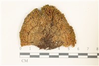 登錄號:B00001443藏品圖，第1張