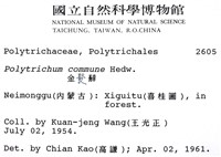 金髮蘚藏品圖，第2張