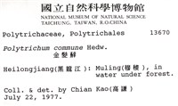 金髮蘚藏品圖，第2張