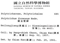 擬金髮蘚藏品圖，第2張