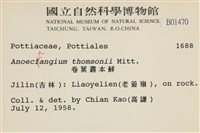 索氏叢本蘚藏品圖，第2張