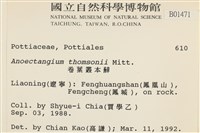 索氏叢本蘚藏品圖，第2張