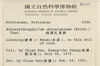 鈍頭紅葉蘚藏品圖，第2張