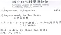 鈍葉泥炭蘚藏品圖，第2張