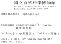 截葉泥炭蘚藏品圖，第2張