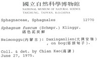 銹色泥炭蘚藏品圖，第2張
