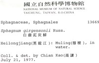 白齒泥炭蘚藏品圖，第2張