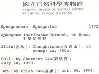 覆葉泥炭蘚, 毛壁泥炭蘚藏品圖，第2張