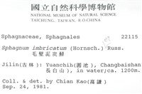 覆葉泥炭蘚, 毛壁泥炭蘚藏品圖，第2張