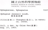 垂枝泥炭蘚藏品圖，第2張