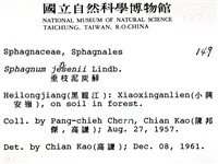 垂枝泥炭蘚藏品圖，第2張