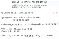 擬禿枝泥炭蘚藏品圖，第2張