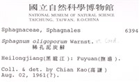 稀孔泥炭蘚藏品圖，第2張