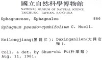 擬大泥炭蘚藏品圖，第2張