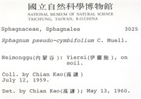 擬大泥炭蘚藏品圖，第2張