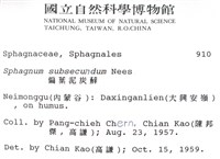 偏葉泥炭蘚藏品圖，第2張