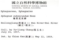 偏葉泥炭蘚藏品圖，第2張
